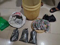Polisi Bongkar Produksi Petasan Ilegal di Poncokusumo, Tiga Kilo Gram Bubuk Mercon Disita