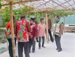 Sinergi pemerintah dan DKPP Sumenep perluas Pengembangan Sektor Pertanian 