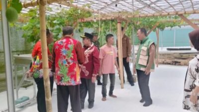 Sinergi pemerintah dan DKPP Sumenep perluas Pengembangan Sektor Pertanian 