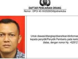 DPO : Jejak Ekstasi Menggurita di Hiburan Bali