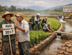 Ketika Air Menipis Petani Menggugat Ketangguhan AWD