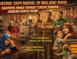 Harga Daging Sapi Melonjak di Malang Raya, Pemerintah Diminta Jamin Stabilitas Tanpa Celah Permainan