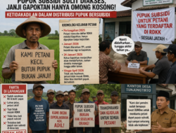 Sulit Mendapatkan Pupuk Bersubsidi Ds Tunjungtirto Malang sejak 2025