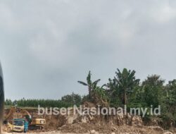 Tambang Diduga Ilegal di Sukorame Lamongan Beroperasi Terang-Terangan, Warga Pertanyakan Ketegasan Aparat
