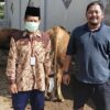 Kepala Desa Bergas Kidul Berkurban Massal