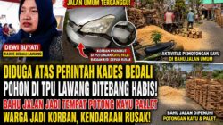 Diduga Atas Perintah Kades Bedali, Pohon Produktif di TPU Lawang Ditebang, Bahu Jalan Dipenuhi Kayu Palet Hingga Rugikan Warga