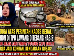 Diduga Atas Perintah Kades Bedali, Pohon Produktif di TPU Lawang Ditebang, Bahu Jalan Dipenuhi Kayu Palet Hingga Rugikan Warga