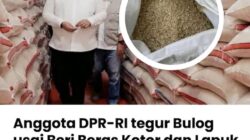 Teguran Keras Senayan Terkait Beras Tak Layak di Bangkalan: Penggantian Saja Tidak Cukup!