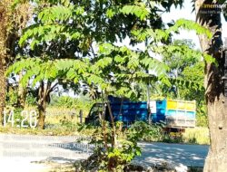 Diduga Tambang Galian C Ilegal di Desa Sambeng Masih Beroperasi, Warga Keluhkan Debu dan Desak Aparat Bertindak