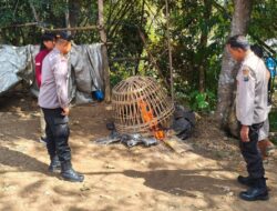 Polisi Bongkar Arena Diduga Sabung Ayam di Gedangan Malang