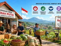 Rp240 Triliun Menguji Masa Depan Koperasi Desa