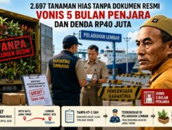 Tanaman Hias dan Harga Jalan Pintas