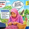 Jangan Hanya Pandai Membaca Angka